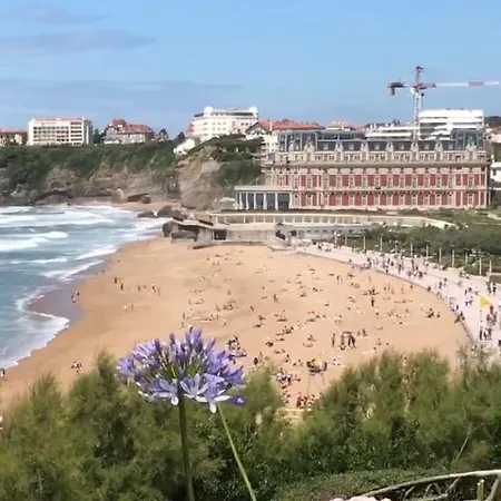 Studio En Hyper Centre Plage A 50 M Apartment
